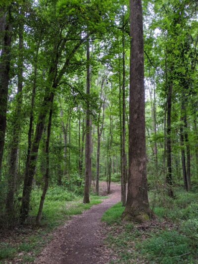 Robert L. Bridges Park - Statham, GA