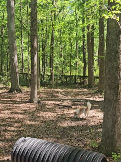 Robert L. Bridges Park - Statham, GA