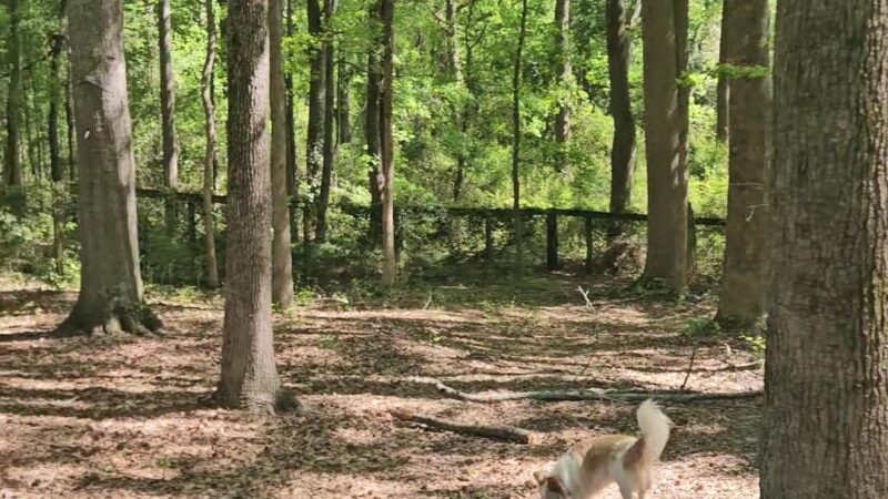 Robert L. Bridges Park - Statham, GA