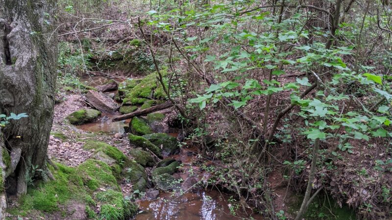 Robert L. Bridges Park - Statham, GA