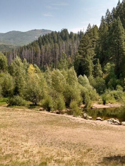 Spring Creek Dog Park at the Lower Pond - Steamboat Springs, CO