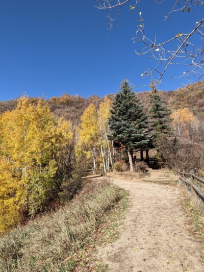 Spring Creek Dog Park at the Lower Pond - Steamboat Springs, CO