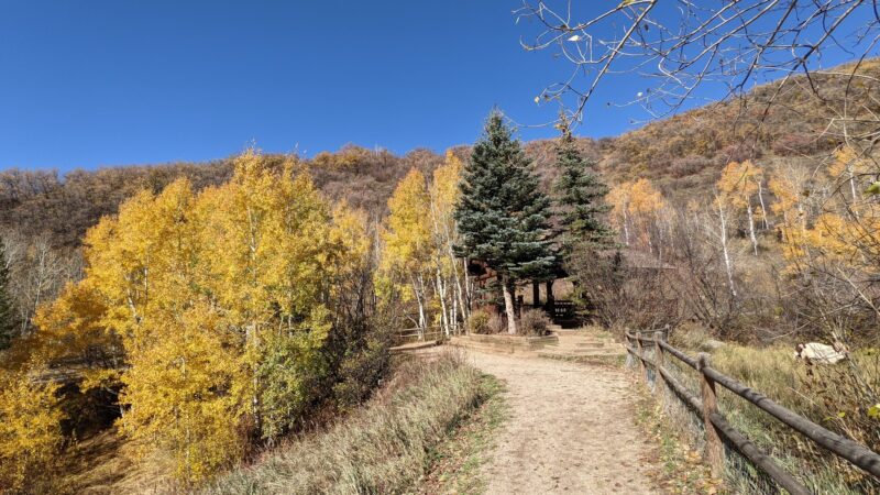 Spring Creek Dog Park at the Lower Pond - Steamboat Springs, CO
