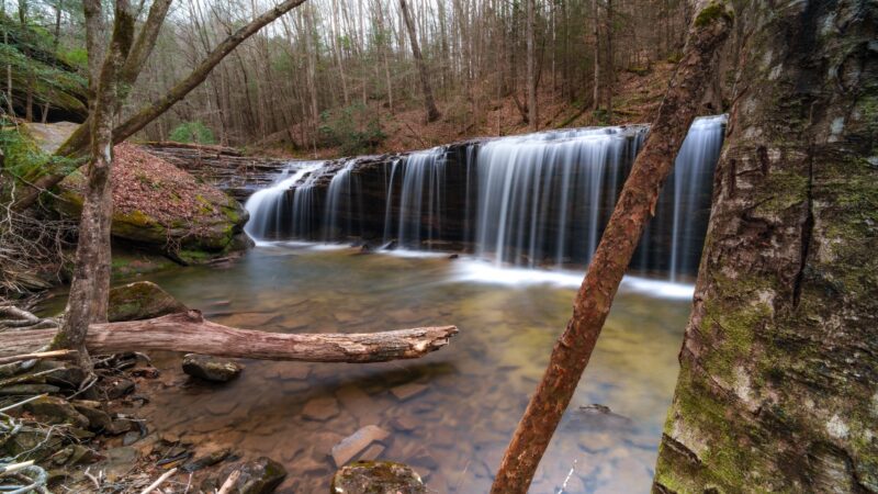 Princess Falls Trailhead - Stearns, KY
