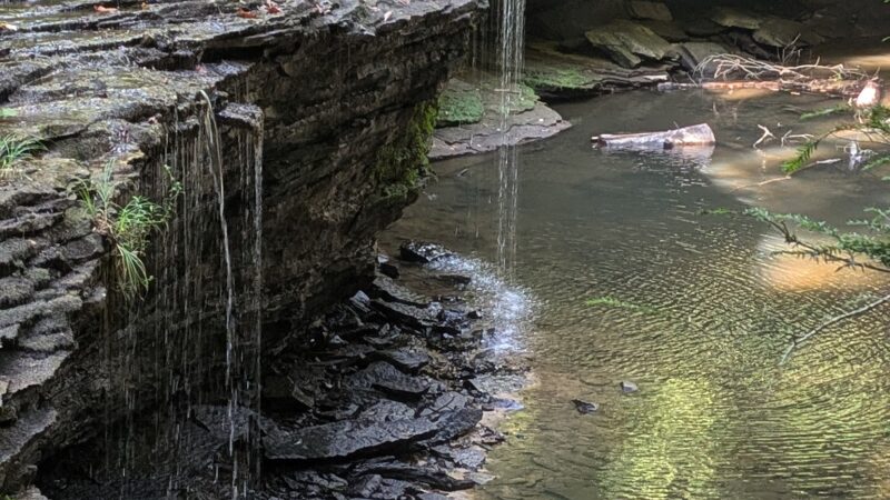 Princess Falls Trailhead - Stearns, KY