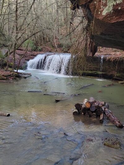 Princess Falls Trailhead - Stearns, KY