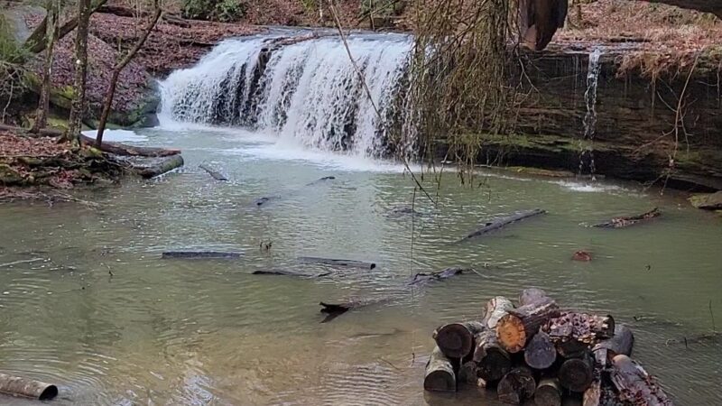Princess Falls Trailhead - Stearns, KY