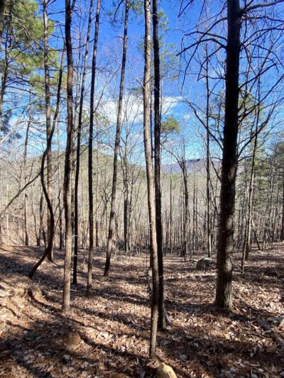 Double Oak Park - Sterrett, AL