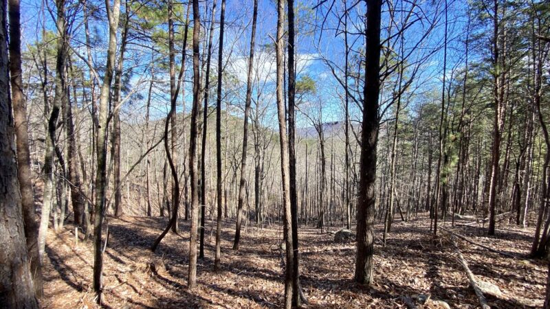 Double Oak Park - Sterrett, AL