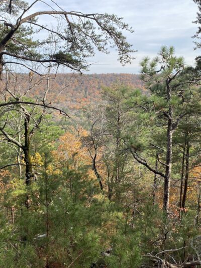 Double Oak Park - Sterrett, AL