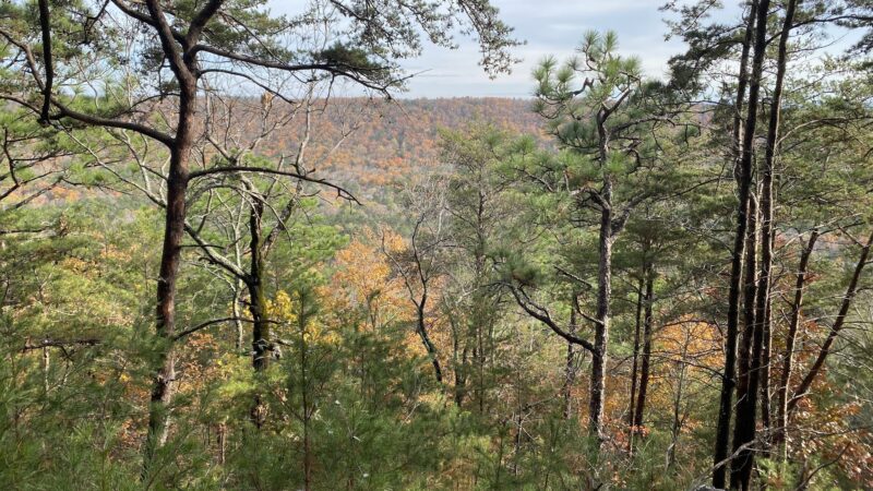 Double Oak Park - Sterrett, AL