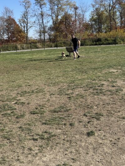 Wintersville Dog Park - Steubenville, OH