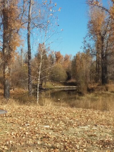 Bitterroot River Park - Stevensville, MT