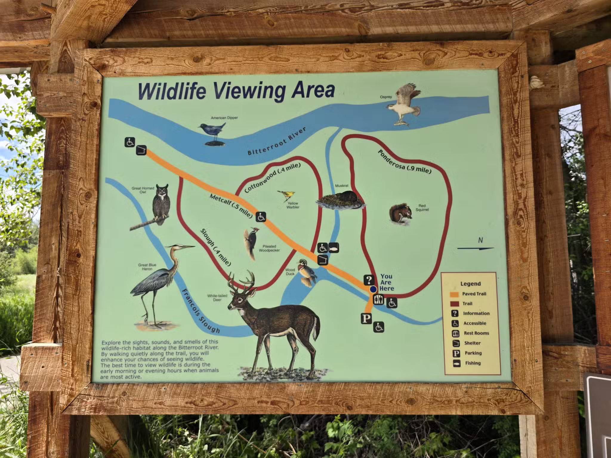 Lee Metcalf National Wildlife Refuge - Stevensville, MT