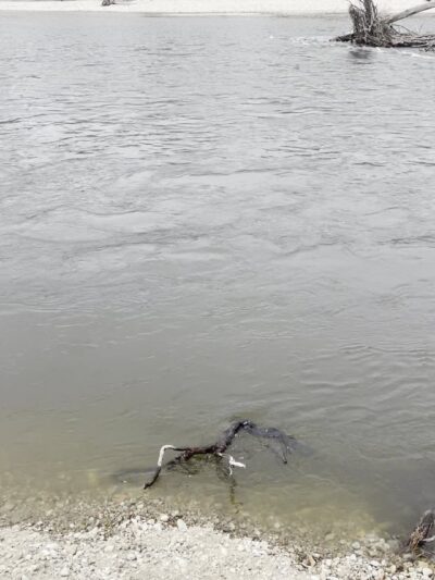 Lee Metcalf National Wildlife Refuge - Stevensville, MT