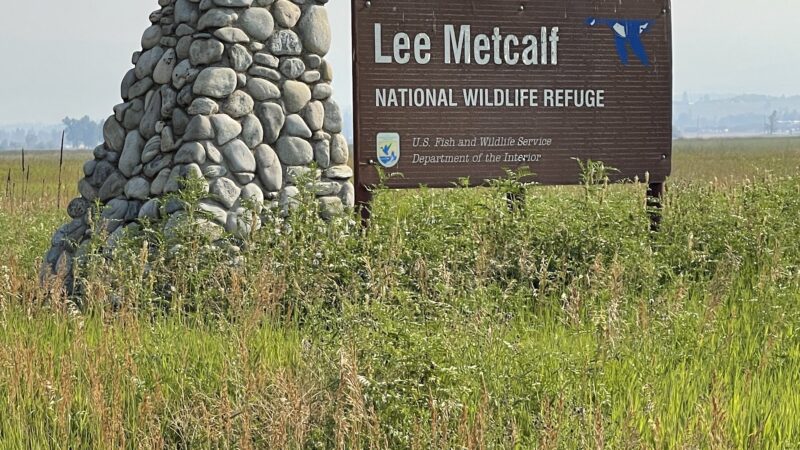 Lee Metcalf National Wildlife Refuge - Stevensville, MT