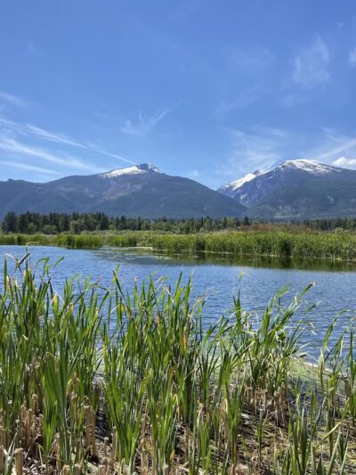 Lee Metcalf National Wildlife Refuge - Stevensville, MT