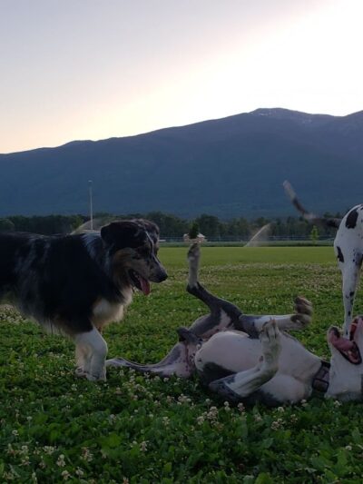 Lewis and Clark Park - Stevensville, MT