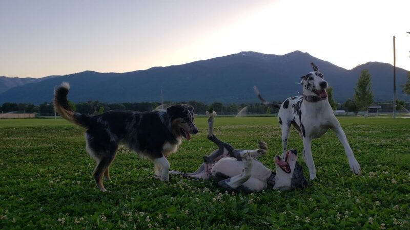 Lewis and Clark Park - Stevensville, MT