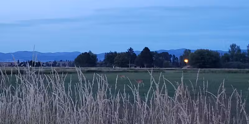 US Forest Services Ranger Station - Stevensville, MT