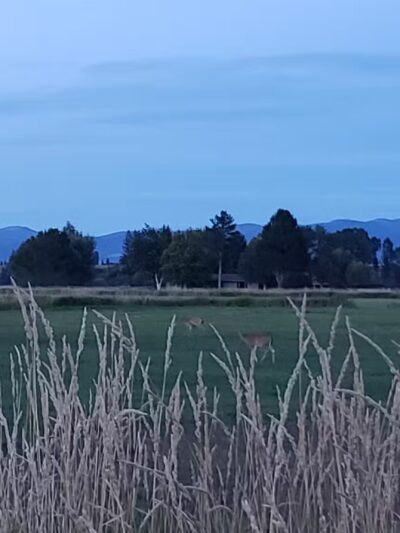 US Forest Services Ranger Station - Stevensville, MT