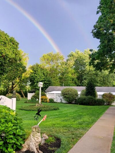 Janry Pet Resort - Stewartsville, NJ