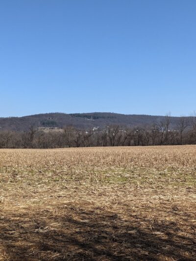 Morris Canal Greenway Trail - Stewartsville, NJ