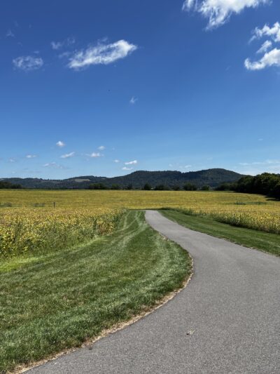 Thomas Stewart Park - Stewartsville, NJ