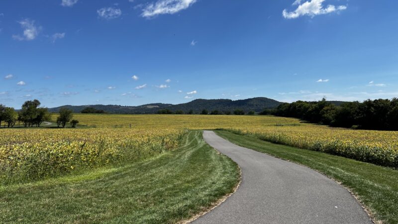Thomas Stewart Park - Stewartsville, NJ