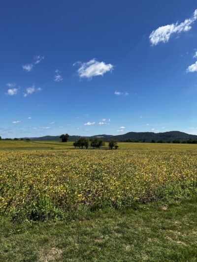 Thomas Stewart Park - Stewartsville, NJ
