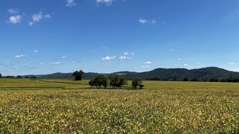 Thomas Stewart Park - Stewartsville, NJ