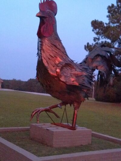 Crider Foods - Stillmore, GA