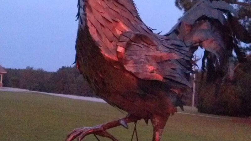 Crider Foods - Stillmore, GA