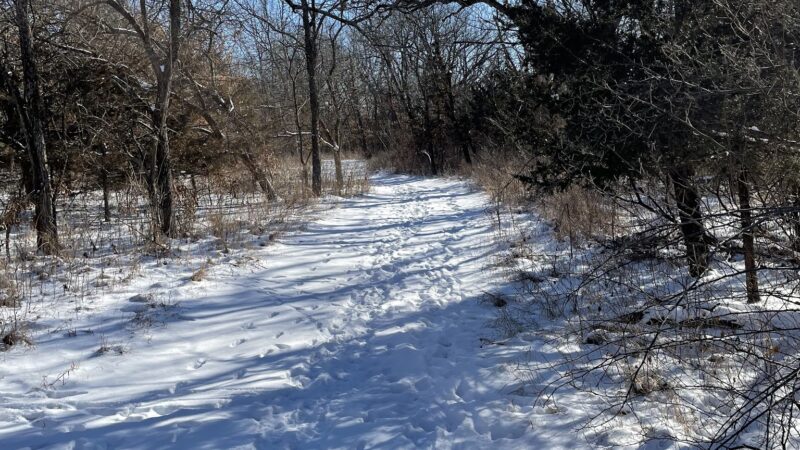 Camp Branch Glade Park - Stilwell, KS
