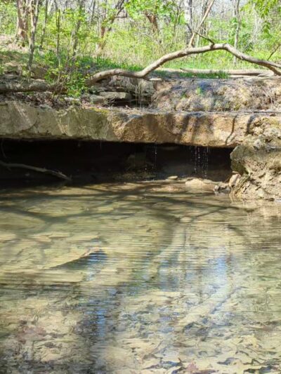 Camp Branch Glade Park - Stilwell, KS