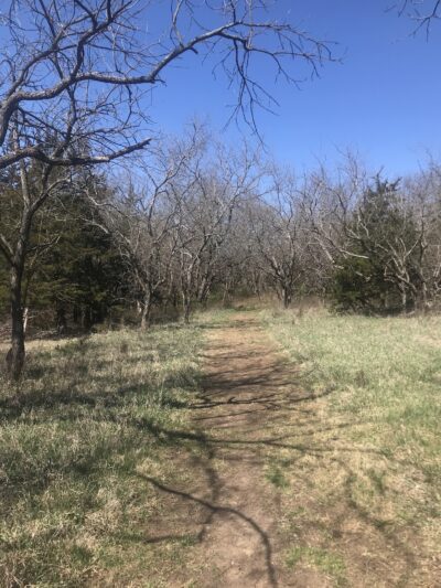 Camp Branch Glade Park - Stilwell, KS