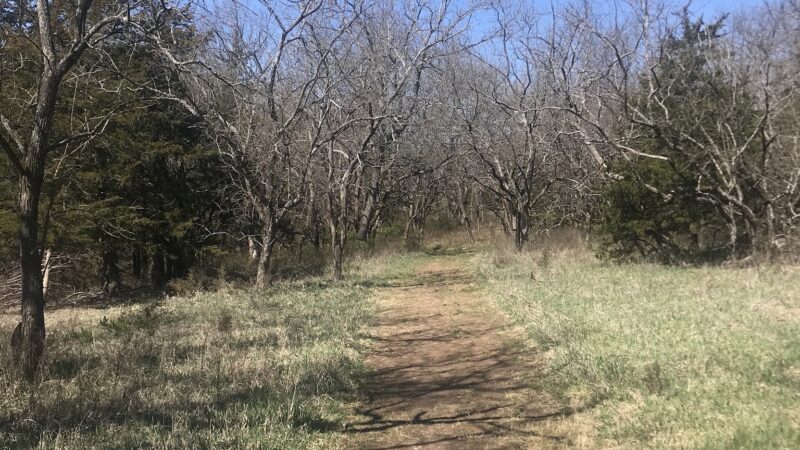 Camp Branch Glade Park - Stilwell, KS