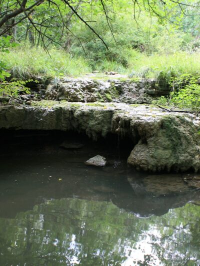 Camp Branch Glade Park - Stilwell, KS