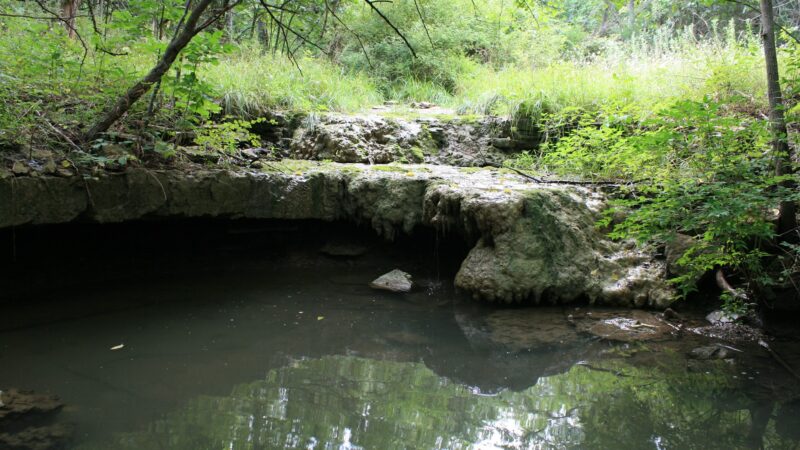 Camp Branch Glade Park - Stilwell, KS