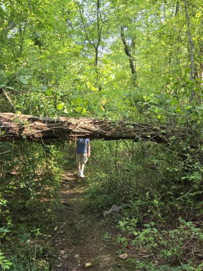 Hicks Tract Park - Stirling, NJ