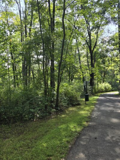 Hicks Tract Park - Stirling, NJ