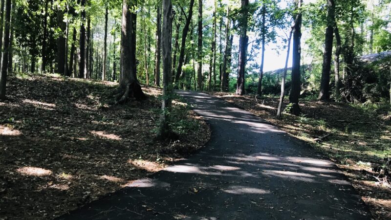 Clark Community Park - Stockbridge, GA