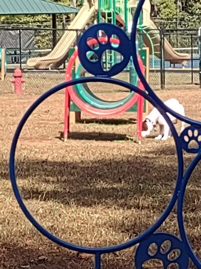 Richardson Dog Park - Stockbridge, GA