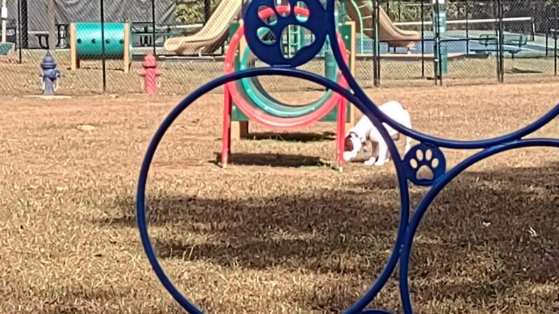Richardson Dog Park - Stockbridge, GA