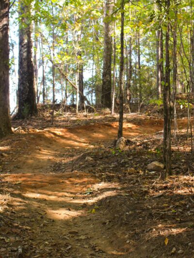 South Rockdale Community Park, Playground - Stockbridge, GA