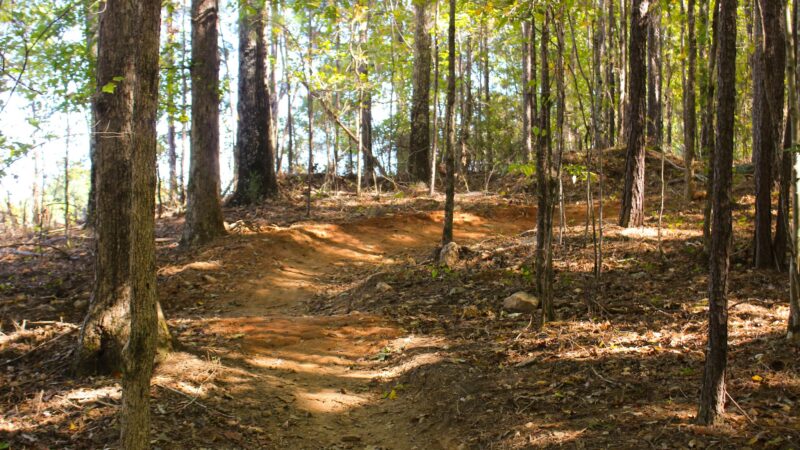 South Rockdale Community Park, Playground - Stockbridge, GA