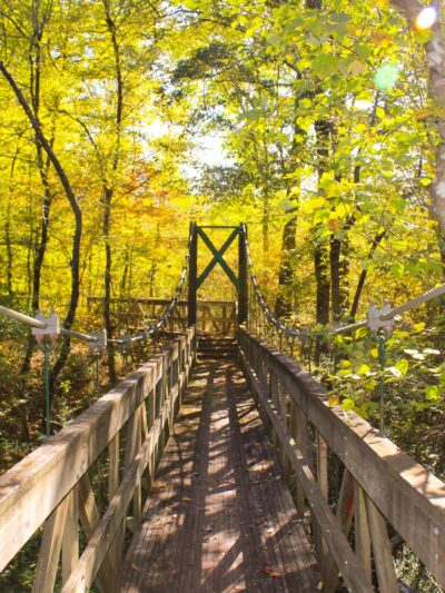 South Rockdale Community Park, Playground - Stockbridge, GA