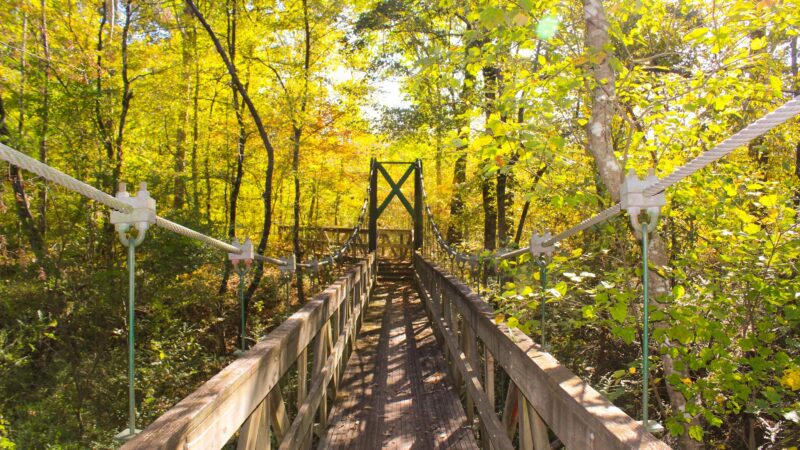 South Rockdale Community Park, Playground - Stockbridge, GA