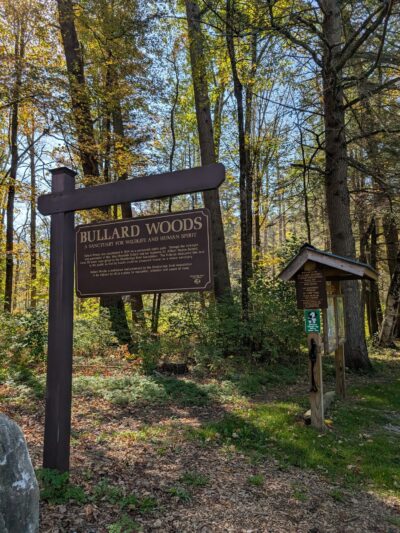Bullard Woods - Stockbridge, MA