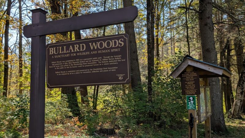 Bullard Woods - Stockbridge, MA